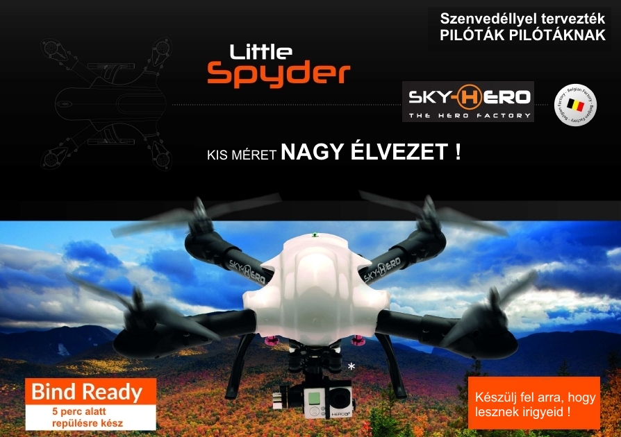 Little Spyder